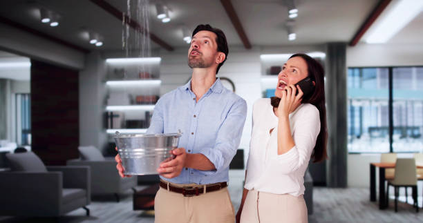 Best Water damage cleanup near me  in Mount Ivy, NY